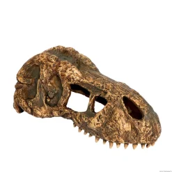 Exo Terra Cráneo de T-Rex Pequeño Decoración para terrarios Discount