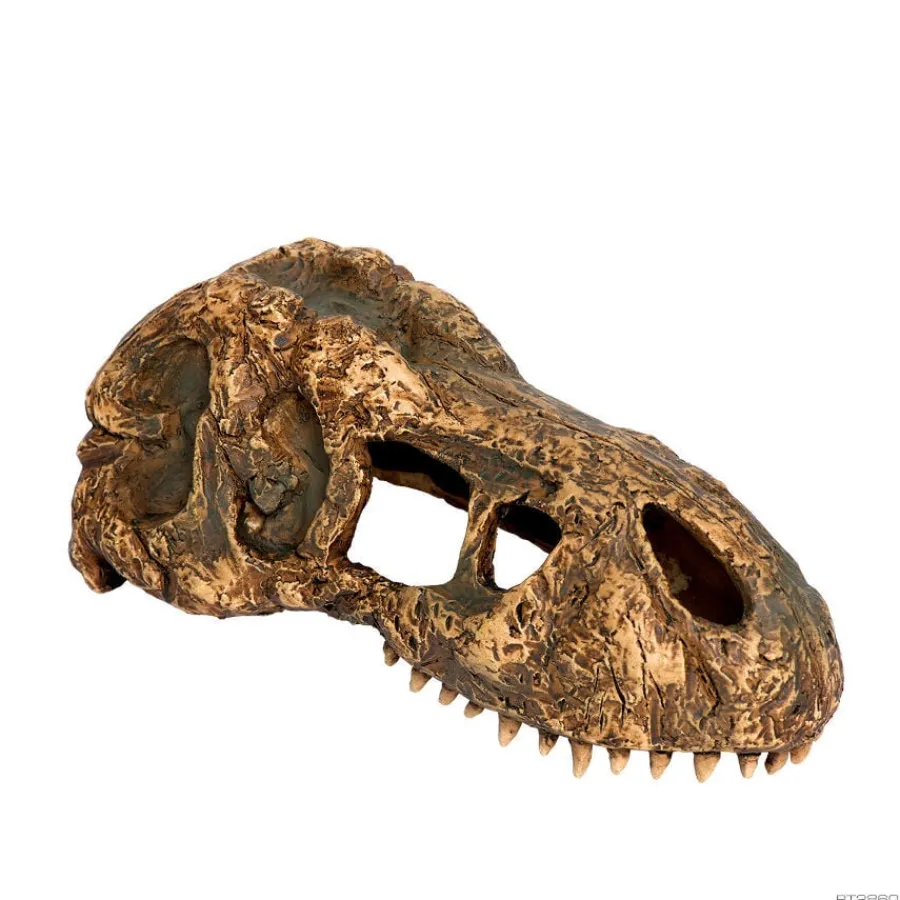 Exo Terra Cráneo de T-Rex Pequeño Decoración para terrarios Discount