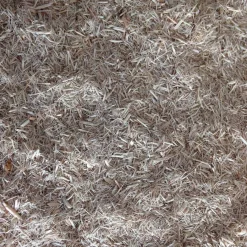 Exo Terra Snake Bedding Substrato para serpientes Discount