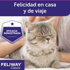 Feliway Spray tranquilizante para gatos Outlet