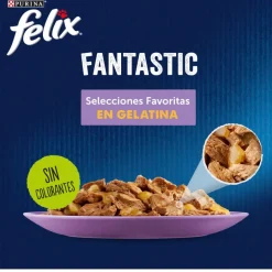 Felix Fantastic Selecciones Favoritas sobres en gelatina Discount