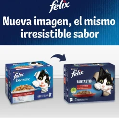 Felix Fantastic Selecciones Favoritas sobres en gelatina Discount
