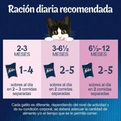 Felix Junior Fantastic Carne y Pescado en Gelatina sobre para gatos Online