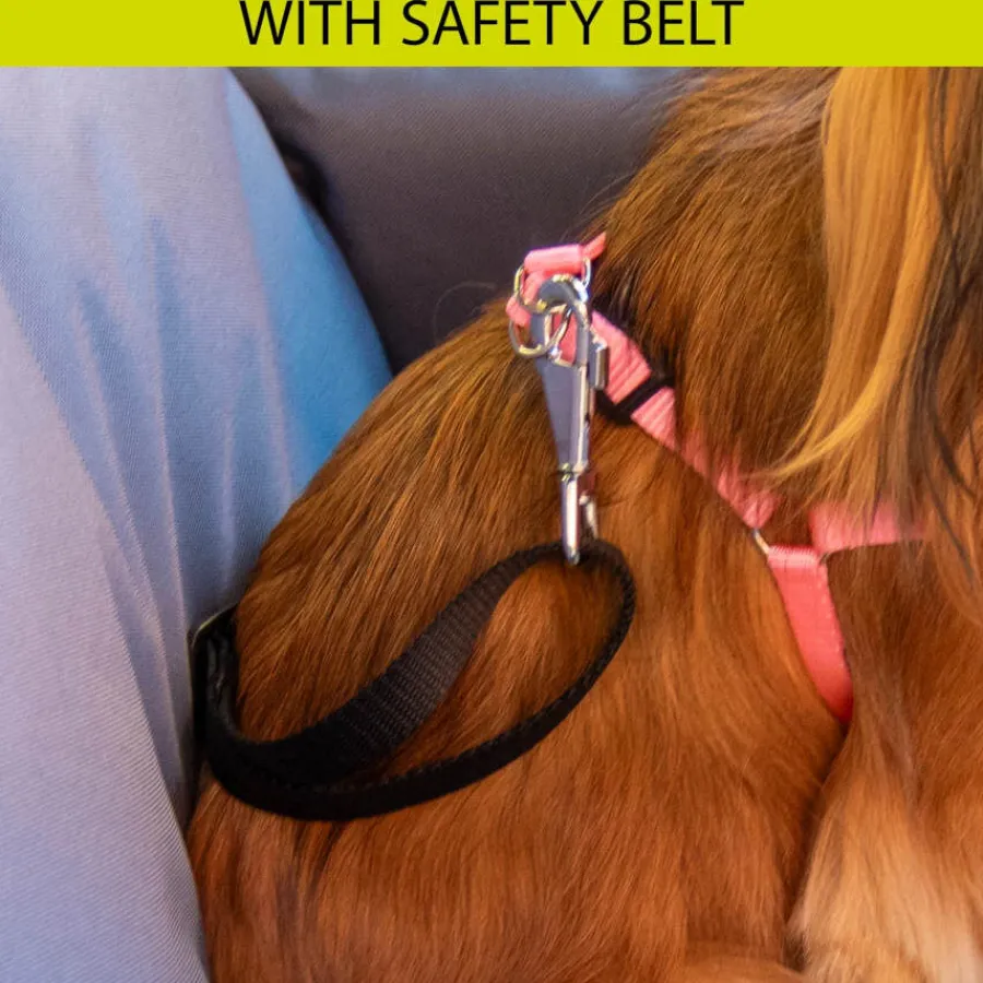 Ferplast Cruiser Marrón Bolsa de Transporte para perros Best