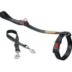 Flamingo Correa de Adiestramiento para perros Online
