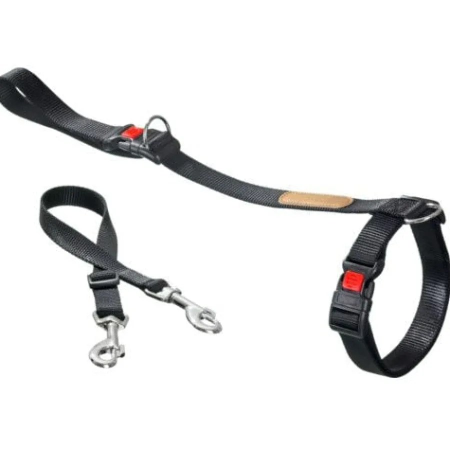 Flamingo Correa de Adiestramiento para perros Online