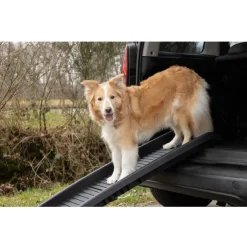 Flamingo rampa Zenna para perros Sale