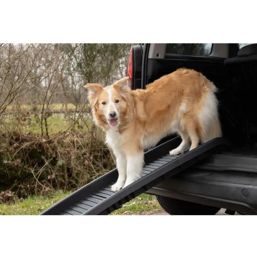 Flamingo rampa Zenna para perros Sale