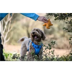 Freedog Cool Pro Tech Arnés Refrescante Azul para perros New