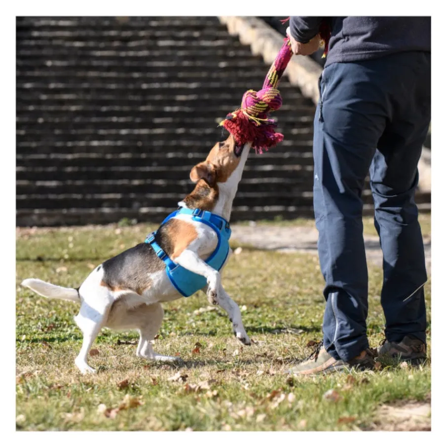 Freedog Cool Pro Tech Arnés Refrescante Azul para perros New