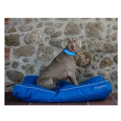 Freedog Cool Pro Tech Collar Refrescante Azul para perros New