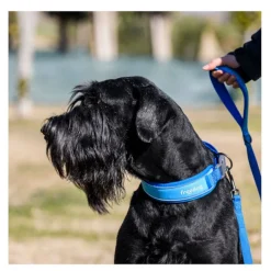 Freedog Cool Pro Tech Collar Refrescante Azul para perros New