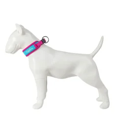 Freedog Cool Pro Tech Collar Refrescante Fucsia Deportivo para perros Best