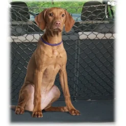 Freedog Red de Coche Ajustable para perros Hot