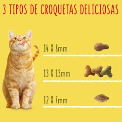 Friskies Adult Buey con Pollo y Verduras pienso para gatos Sale