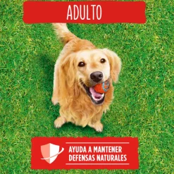 Friskies Adult Buey y Verduras pienso para perros Best