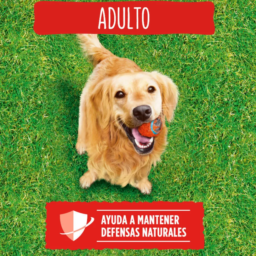 Friskies Adult Buey y Verduras pienso para perros Best