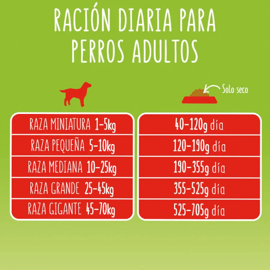 Friskies Adult Buey y Verduras pienso para perros Best