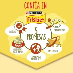 Friskies Conejo y Pollo pienso para gatos Outlet