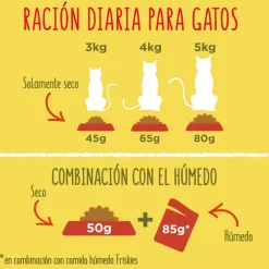 Friskies Conejo y Pollo pienso para gatos Outlet