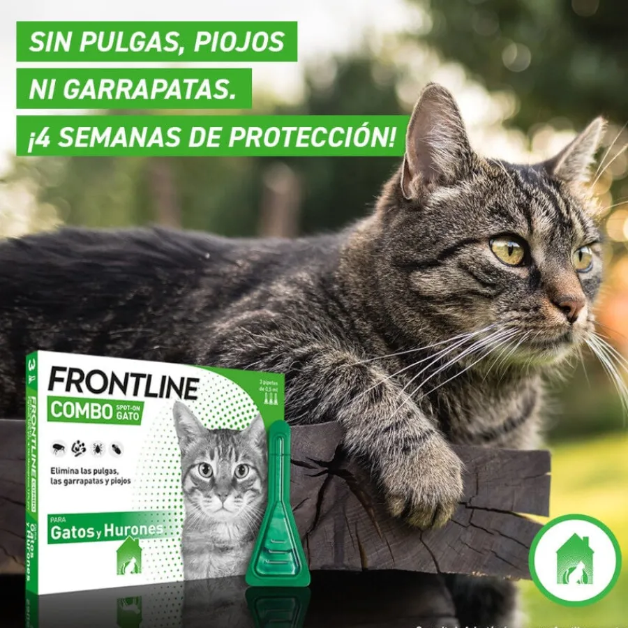 Frontline Combo Pipetas Antiparasitarias para gatos y hurones Clearance