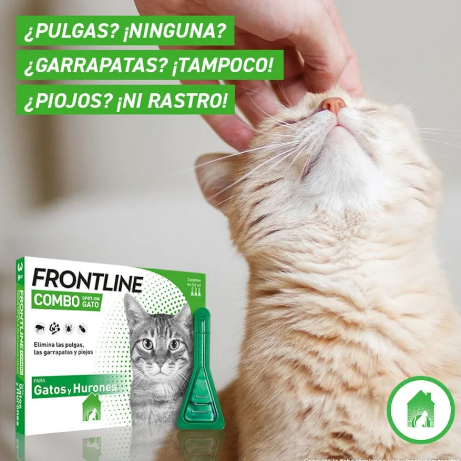 Frontline Combo Pipetas Antiparasitarias para gatos y hurones Clearance
