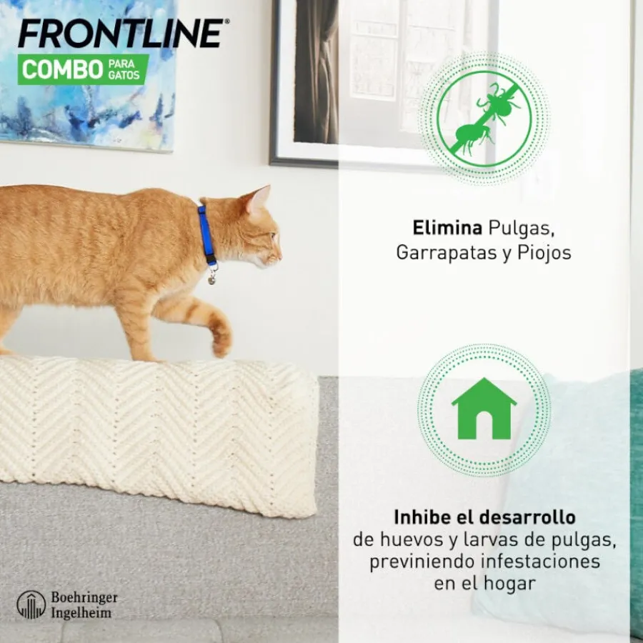 Frontline Combo Pipetas Antiparasitarias para gatos y hurones Clearance