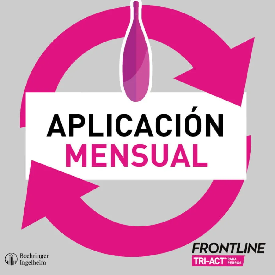 Frontline Tri-Act Pipetas Antiparasitarias para perros Best