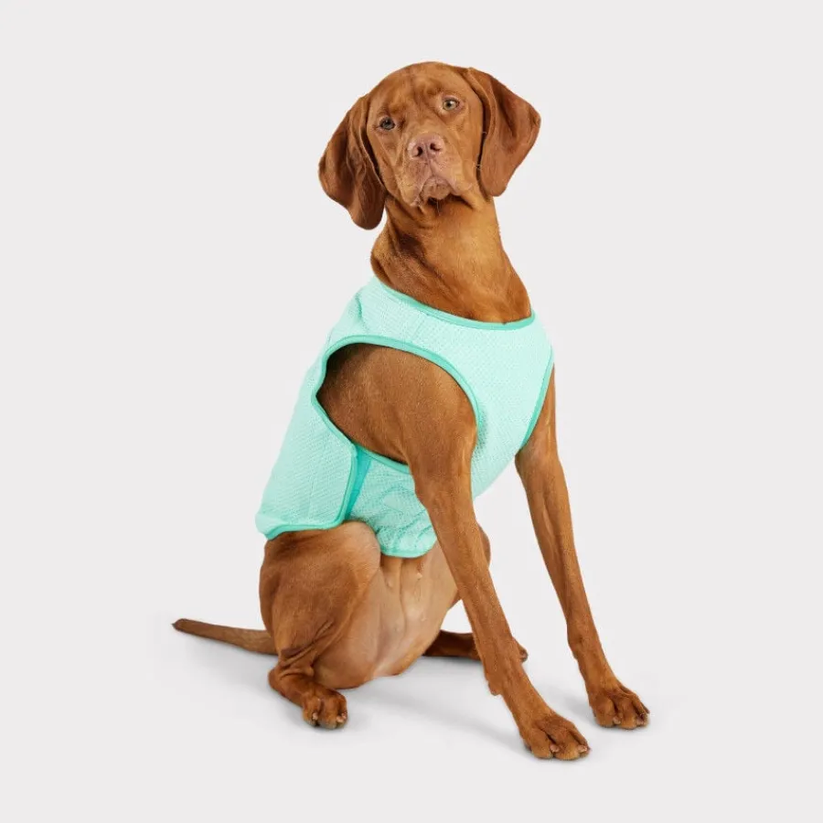 GF Pet ElastoFit Ice Vest Chaleco Refrescante para perros Best