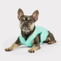 GF Pet ElastoFit Ice Vest Chaleco Refrescante para perros Best