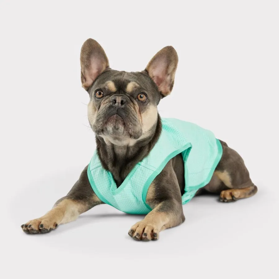 GF Pet ElastoFit Ice Vest Chaleco Refrescante para perros Best
