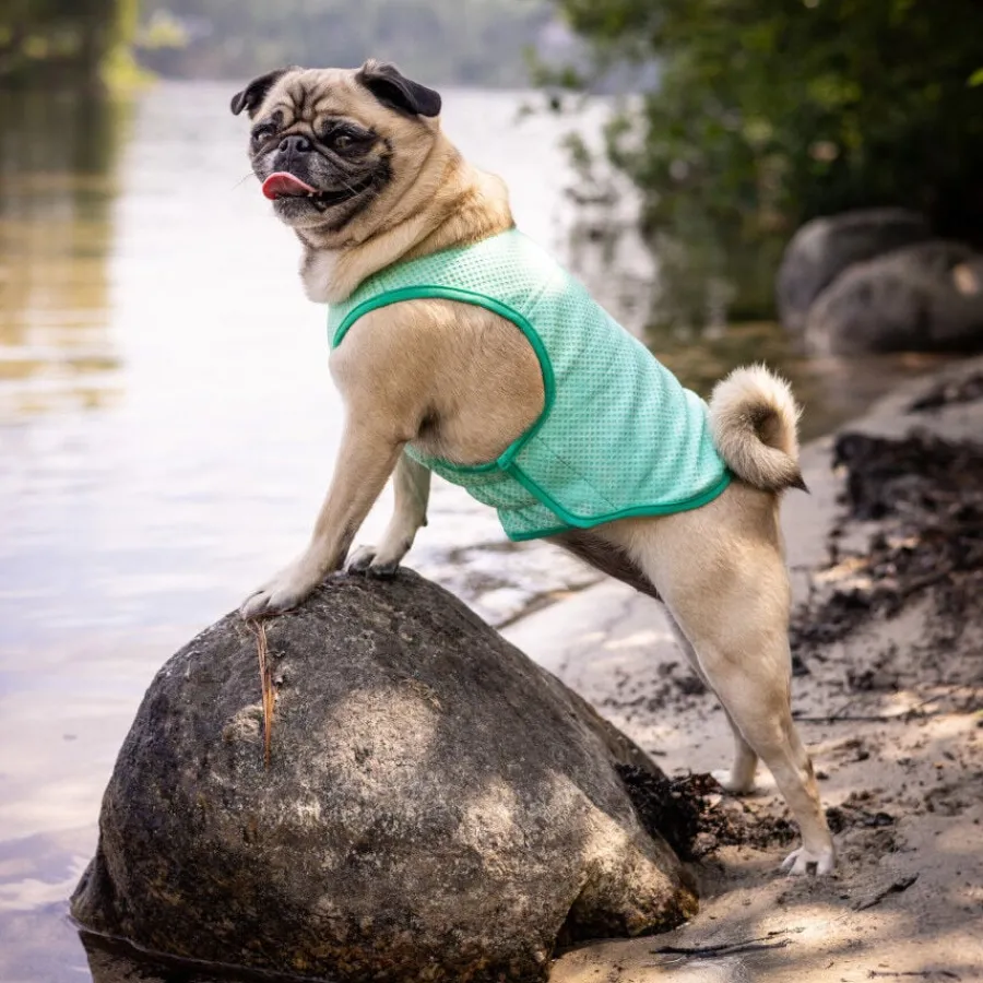 GF Pet ElastoFit Ice Vest Chaleco Refrescante para perros Best