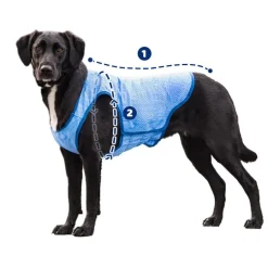 GF Pet ElastoFit Ice Vest Chaleco Refrescante para perros Best