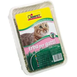 Gimborn GimCat Hierba Gatera en Bandeja Clearance