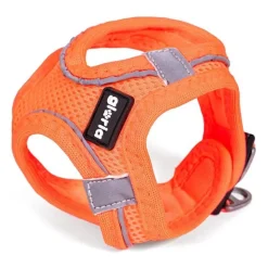 Gloria Air Mesh Trek Star Naranja Arnés/Vestido para perros Outlet