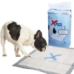 Gloria Pack 30 Empapadores Absorbentes para perros