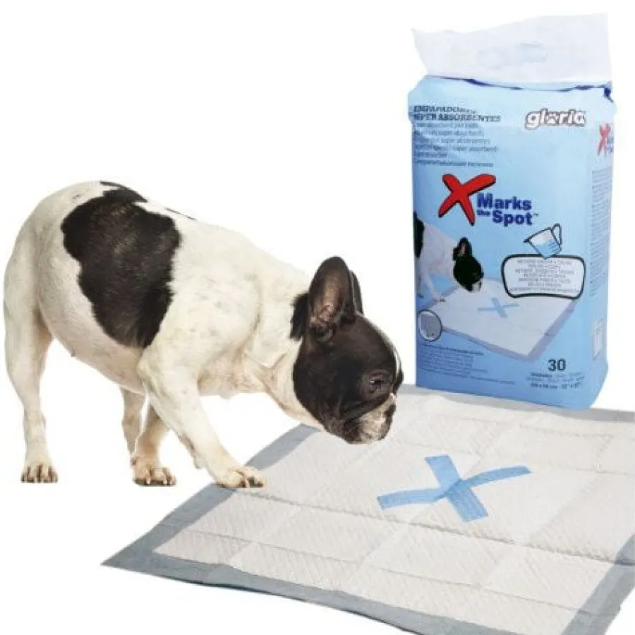 Gloria Pack 30 Empapadores Absorbentes para perros
