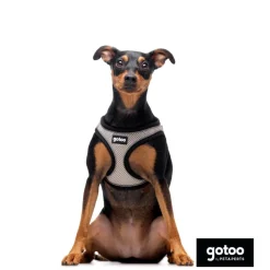 Gotoo Arnés ajustable de malla gris para perros Sale