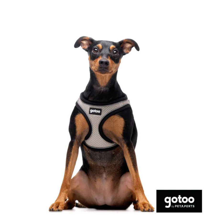 Gotoo Arnés ajustable de malla gris para perros Sale