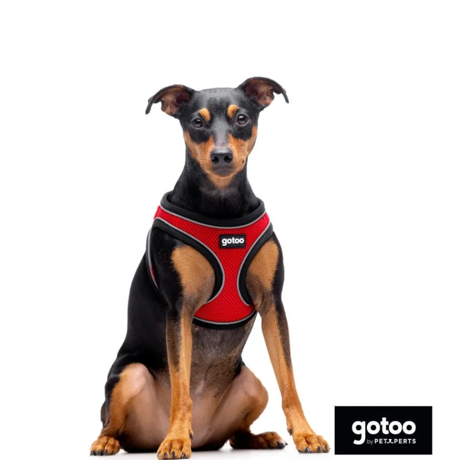Gotoo Arnés ajustable de malla rojo para perros Outlet