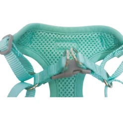 Gotoo Arnés ajustable estampado estrellas verde para cachorros Best