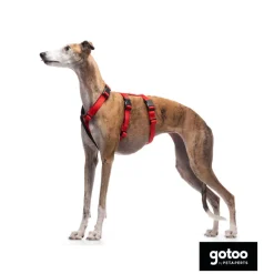 Gotoo Arnés antiescape rojo para perros Discount