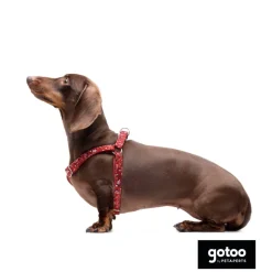 Gotoo Arnés estampado cachemira rojo para perros Hot