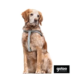 Gotoo Arnés estampado hojas para perros Outlet