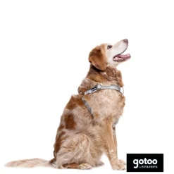 Gotoo Arnés estampado hojas para perros Outlet