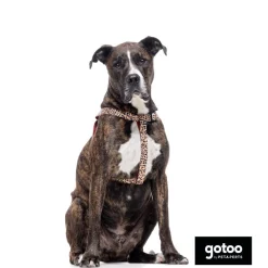 Gotoo Arnés estampado leopardo para perros Best
