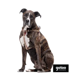 Gotoo Arnés estampado leopardo para perros Best