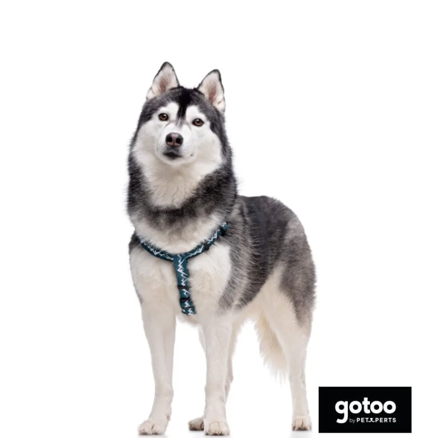 Gotoo Arnés estampado verde para perros Online