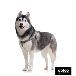Gotoo Arnés estampado zebra para perros Best