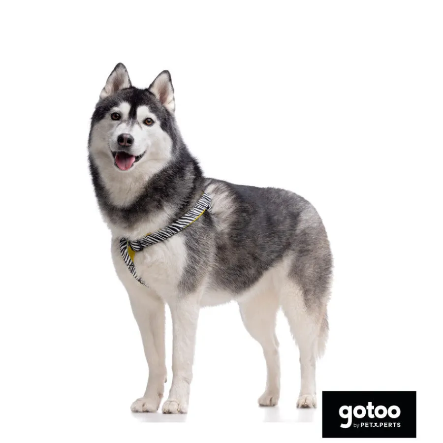 Gotoo Arnés estampado zebra para perros Best